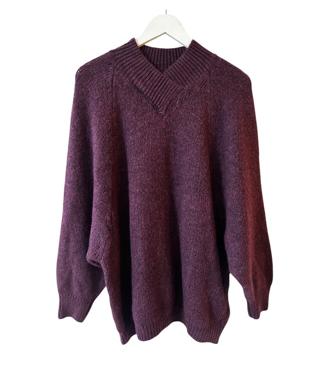selectedbystijldepartment Sweater V neck, Purple