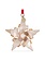 Swarovski 2021 ornament 5583847