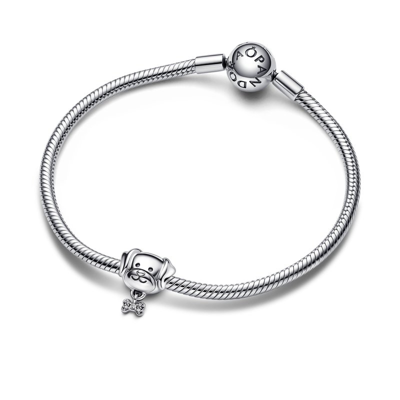Pandora Pet Dog & Bone Bedel 792254C01