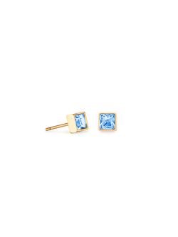 Coeur de Lion Oorbellen 0501/21-0755