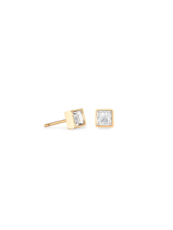 Coeur de Lion Oorbellen 0501/21-1816