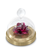 Swarovski Swarovski | Garden Tales kristallen beeldje Rose Bell Jar Goud/Rood (Small) | 5619223