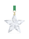 Swarovski Annual Edition kristallen ornament Little Star Wit/Goud 5646769