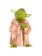 Swarovski Star Wars kristallen beeldje Master Yoda Bruin/Groen 5393456