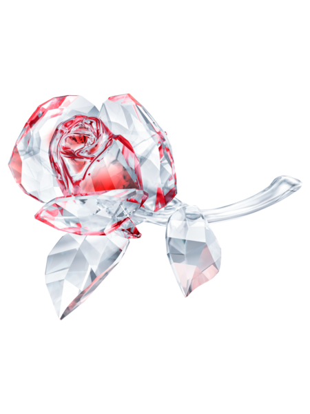 Swarovski Garden Tales kristallen beeldje 5428561