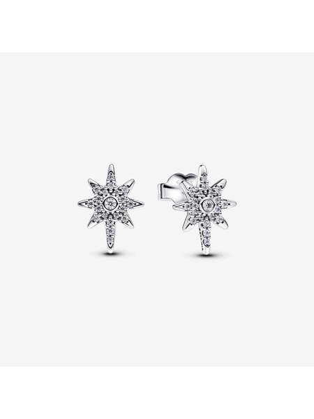 Pandora Oorknopjes 293587C01