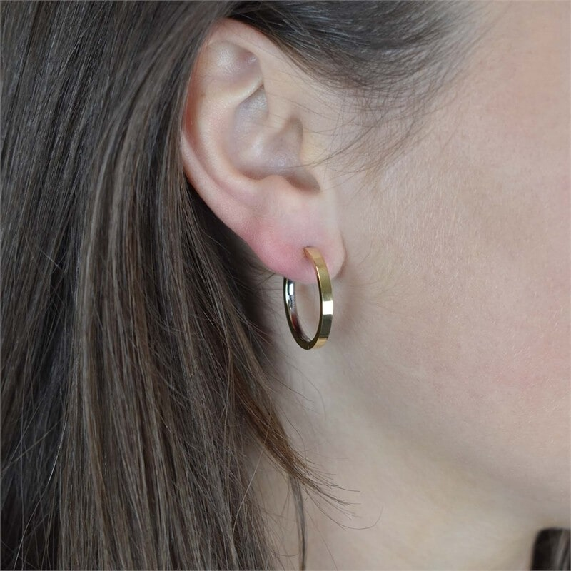 Boccia Titanium oorringen 0517-10