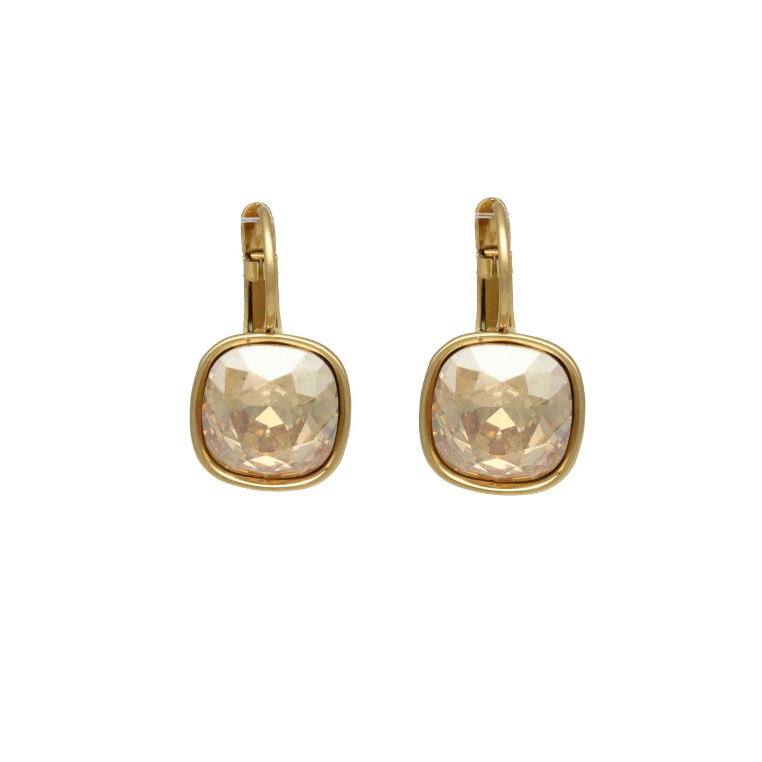 Camps & Camps Stalen oorbellen 1SL001 GS