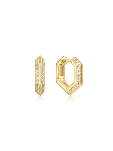 Ania Haie Trailblazer Oorbellen E067-06G