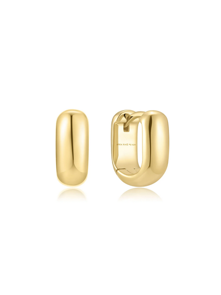Ania Haie Trailblazer Oorbellen E067-08G