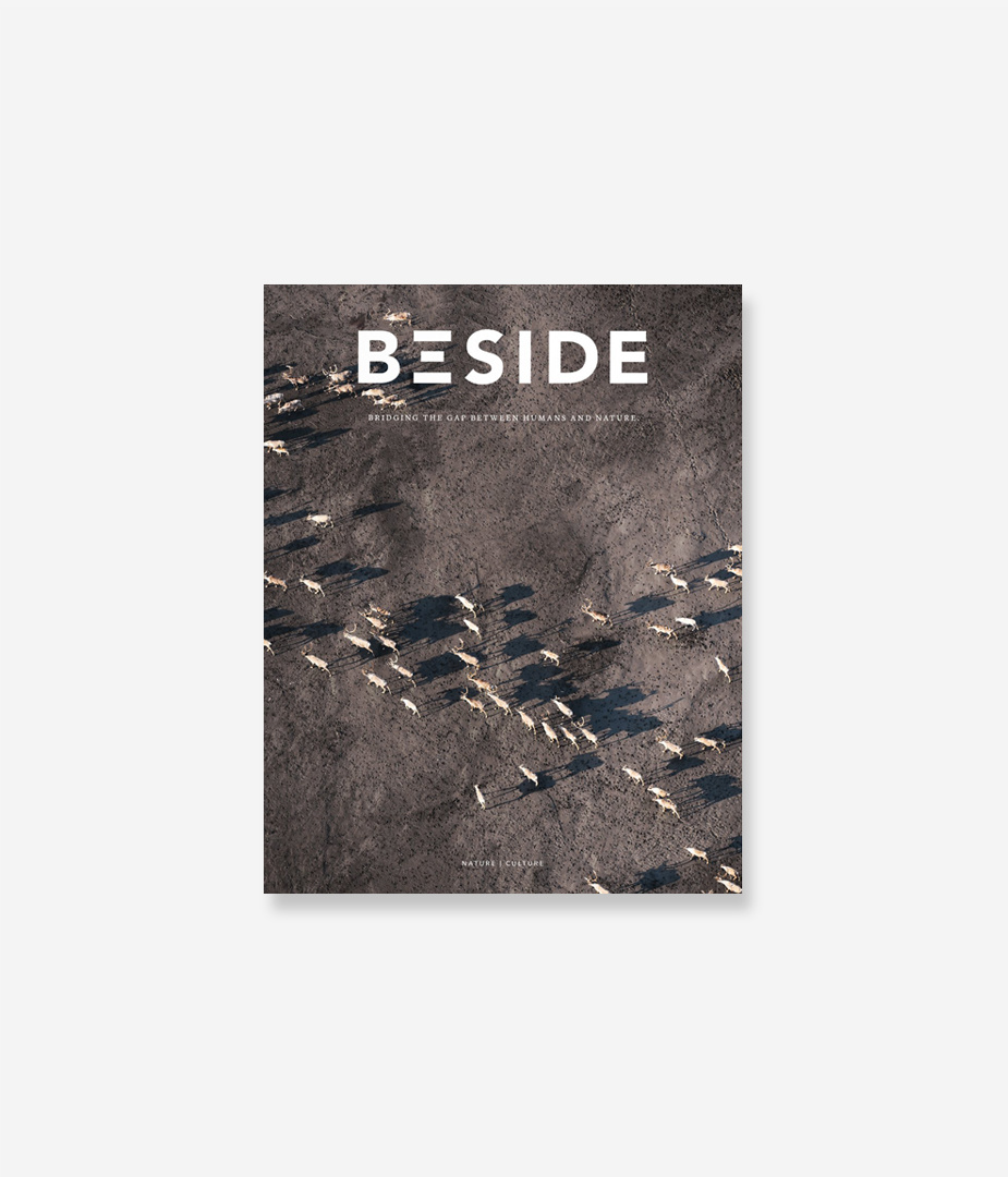 BESIDE - nº4