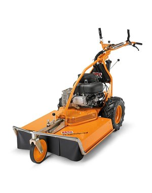 AS-Motor AS 73 4 T B&S