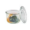APS Weck-glasses with lid