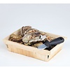 APS Oyster Knife 145 mm APS Oyster Knife 145 mm