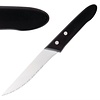 Deglon Sabatier Steak Knife 18/10 (Pack of 12)