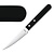 Amefa Steak Knife  (Pack of 12)
