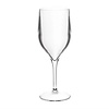 Roltex Transparent BPA-Free Plastic Wine Glass 310 ml