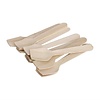 Fiesta Biodegradable Wooden Ice Cream Spoons (Pack of 100)