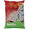 Bolsius Podgrzewacz | 100 szt. | 4(Ø)cm
