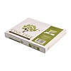 Fiesta Biodegradable Disposable Wooden Knives (Pack of 100)