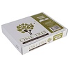 Fiesta Biodegradable Disposable Wooden Dessert Spoons (Pack of 100)