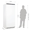 Polar Refrigeration  Upright Freezer 600 L, -25 °C to -10 °C