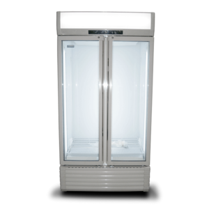 XXLselect Szafa chłodnicza 2-drzwiowa przeszklona 597 L, 0 °C do +10 °C