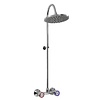 XXLselect Exposed shower mixer with pipe and rain shower head.