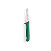 Hendi Knife for Peeling Vegetables 100 mm, Green Line with Serrated Blade