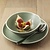 Olympia Shallow Plate, Ø205 mm, Irregular, Chia, Green (Pack of 6)