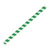 Fiesta Green Compostable Paper Smoothie Straws Green Stripes (Pack of 250) Fiesta Green Compostable Paper Smoothie Straws Green Stripes (Pack of 250)