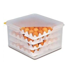 TOM-GAST Box for eggs TOM-GAST Box for eggs
