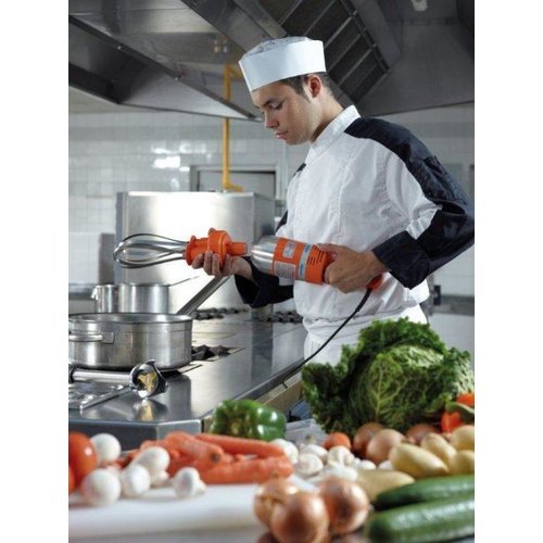 Dynamic Immersion Blender with Main Shaft or Whisk Attachment 412 mm, 9500 rpm, 0,5 kW Dynamic Immersion Blender with Main Shaft or Whisk Attachment 412 mm, 9500 rpm, 0,5 kW