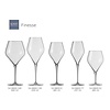 SCHOTT ZWIESEL Bordeaux Wine Glass 630 ml Finesse