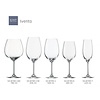 SCHOTT ZWIESEL Wine Glass 500 ml Ivento