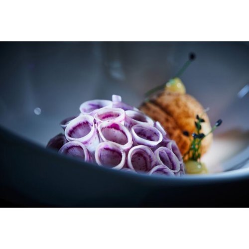 Rak SKETCHES Miska obracana, turkusowa 850 ml Rak SKETCHES Miska obracana, turkusowa 850 ml