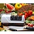 Chef's Choice Ostrzałka elektryczna, 3 stopniowa, 75 W z diamentowymi dyskami z funkcją Angle Select, biała