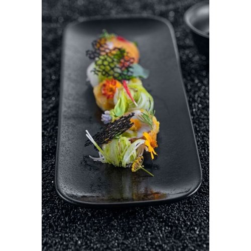 Rak Talerz płytki, 330x110 mm, prostokątny, Karbon Rak Talerz płytki, 330x110 mm, prostokątny, Karbon