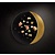 Rak Shallow Plate, Ø310 mm, MetalFusion, Gold