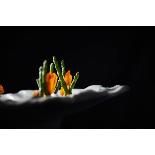 Rak Talerz płytki, 270x185 mm, nieregularny, Sketches