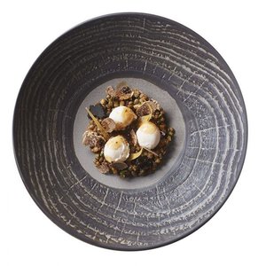 REVOL Deep Plate, Ø240 mm, Arborescence, Grey