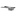 INOXI Blat ze zlewem | 2400x600 mm