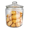 APS Canister -CLASSIC-