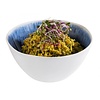 APS Bowl -BLUE OCEAN-