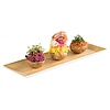 APS Taca -BAMBOO- APS Taca -BAMBOO-