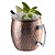 APS Barre copper mug -MOSCOW MULE-
