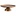APS Patera -ACACIA-