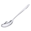 Contacto Serving Spoon