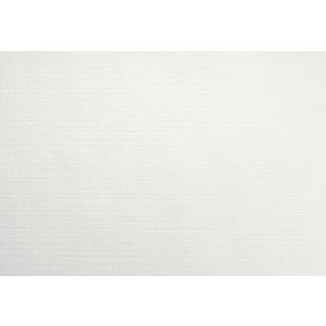 Duni Placemat EVOLIN® 30 x 43,5 cm White (Pack of 350) Duni Placemat EVOLIN® 30 x 43,5 cm White (Pack of 350)