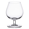 Arcoroc Kieliszek do brandy 250 ml (6 szt.)